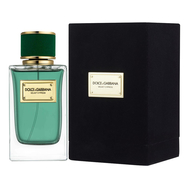 Dolce Gabbana (D&G) Velvet Cypress