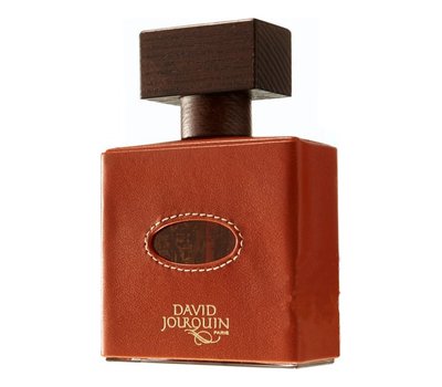 David Jourquin Cuir Mandarine 105477