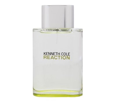 Kenneth Cole Reaction for men 112843