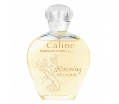 Gres Caline Blooming Moments