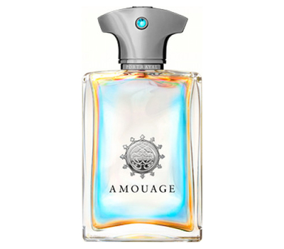 Amouage Portrayal for man