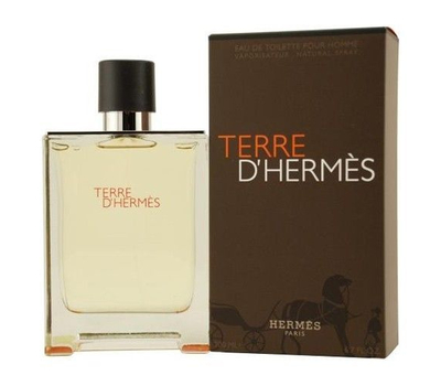 Hermes Terre D'Hermes pour homme 151668