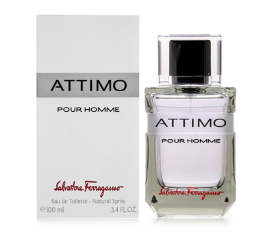 Salvatore Ferragamo Attimo Pour Homme 193694