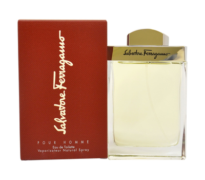 Salvatore Ferragamo Pour Homme 193961