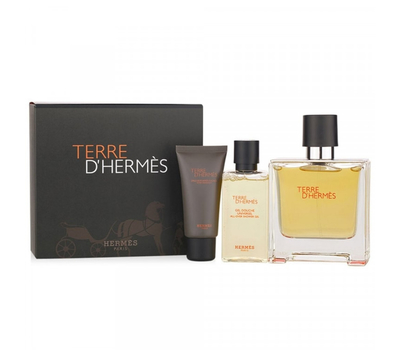 Hermes Terre D'Hermes pour homme 199548