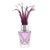 Arabian Oud Donna 49768